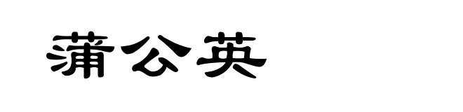蒲公英