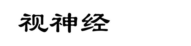 视神经