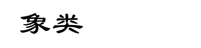 象类
