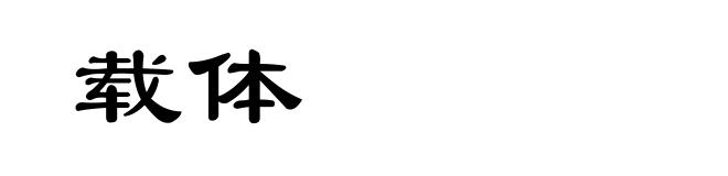 载体