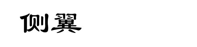 侧翼