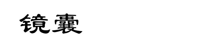 镜囊