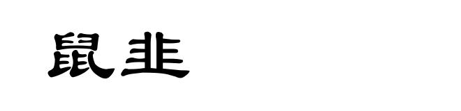 鼠韭