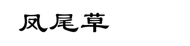 凤尾草