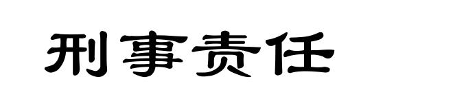 刑事责任