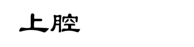 上腔