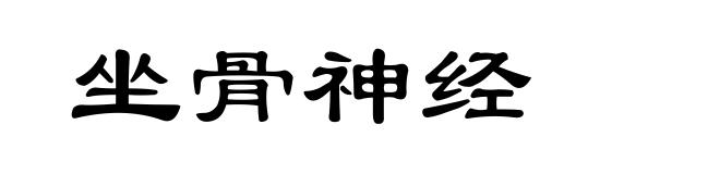 坐骨神经
