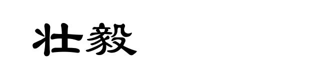 壮毅
