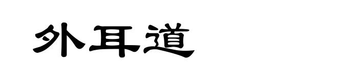 外耳道