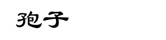 孢子