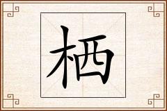栖怎么写