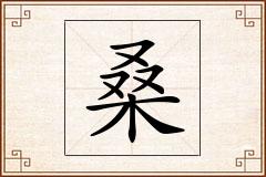 桑怎么写