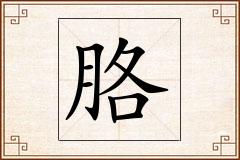 胳怎么写