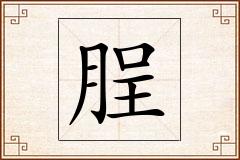 脭怎么写