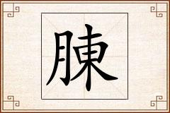 腖怎么写