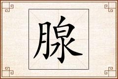 腺怎么写