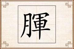 腪怎么写