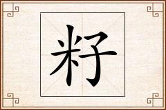 籽怎么写