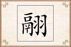 翮怎么写