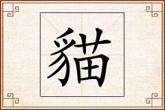 貓怎么写