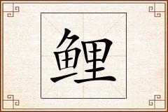 鲤怎么写