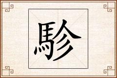 駗怎么写