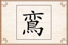 鵉怎么写