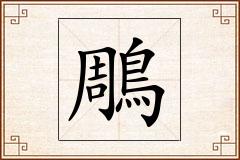 鵰怎么写