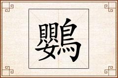 鸚怎么写