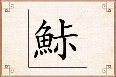鮛怎么写