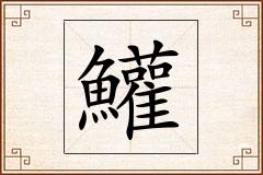 鱹怎么写