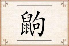 鼩怎么写