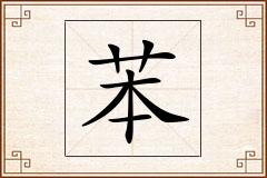 苯怎么写