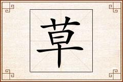 草怎么写