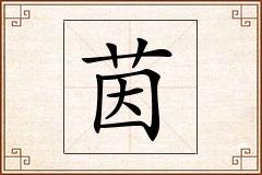 茵怎么写