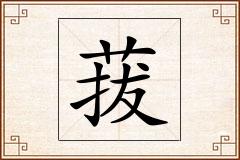 菝怎么写