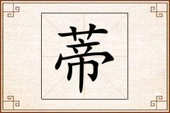 蒂怎么写