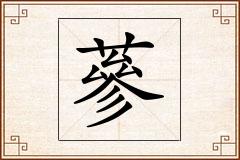 蔘怎么写