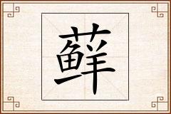 藓怎么写