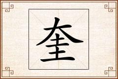 奎怎么写