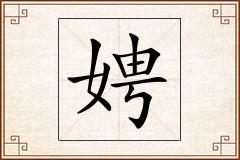 娉怎么写