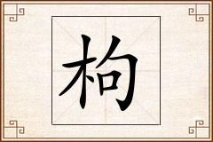 枸怎么写